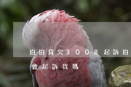 拍拍貸欠3008起訴(拍拍貸借了3000會起訴我嗎)
