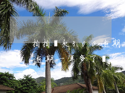 拍拍貸欠300逾期2年(欠拍拍貸3000逾期一年多了 會(huì)起訴我嗎)