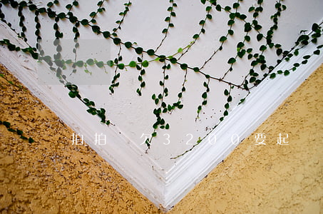 拍拍貸欠3200要起訴我