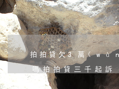 拍拍貸欠3萬(wàn)會(huì)起訴嗎(拍拍貸三千起訴)