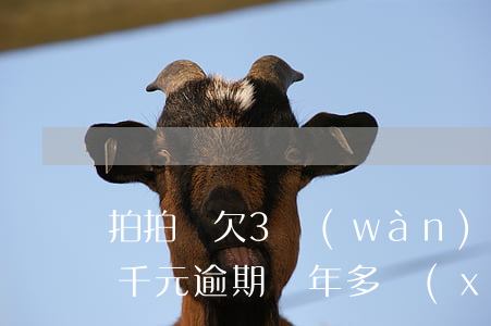 拍拍貸欠3萬(wàn)逾期(欠款拍拍貸四千元逾期兩年多現(xiàn)在讓還三萬(wàn)多)