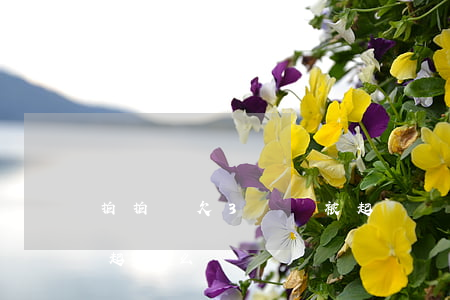 拍拍貸欠3萬會被起訴嗎(拍拍貸幾千塊錢會起訴么)