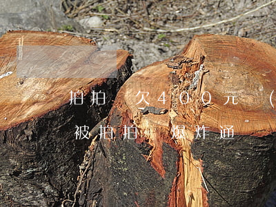 拍拍貸欠400元會(huì)爆通訊錄嗎(被拍拍貸爆炸通訊錄了怎么辦)