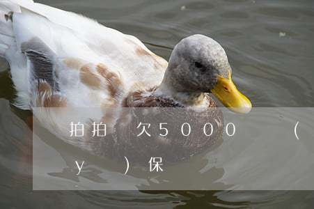 拍拍貸欠5000說調(diào)走醫(yī)保