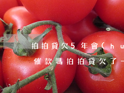 拍拍貸欠5年會(huì)上門(mén)催款嗎(拍拍貸欠了一萬(wàn)多兩年沒(méi)還了,催收要上門(mén))
