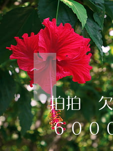 拍拍貸欠6000打電話給朋友-拍拍貸欠6000打電話給朋友是真的嗎