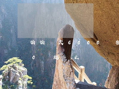 拍拍貸欠6000會被起訴嗎(拍拍貸4500會起訴么)