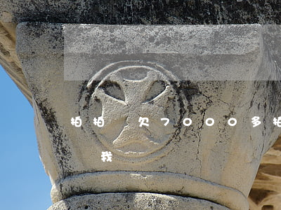 拍拍貸欠7000多(拍拍貸為了200多起訴我)