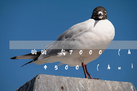 拍拍貸欠7000會(huì)起訴嘛(拍拍貸4500會(huì)起訴么)