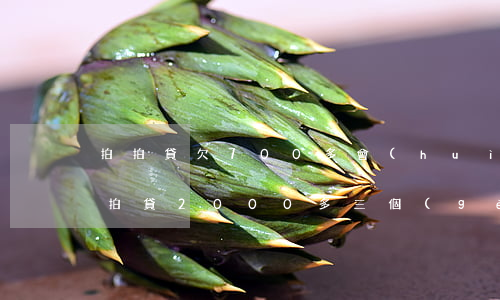 拍拍貸欠700多會(huì)怎么樣(欠拍拍貸2000多三個(gè)月了會(huì)被起訴嗎)