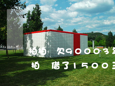 拍拍貸欠9000 3年會(huì)怎樣(拍拍貸借了1500三年沒還)