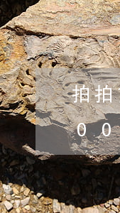 拍拍貸欠9000會怎么樣(拍拍貸還有2000多沒還會怎么樣)