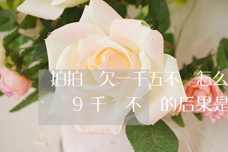 拍拍貸欠一千五不還怎么處理(拍拍貸欠款2萬9千塊不還的后果是什么?)