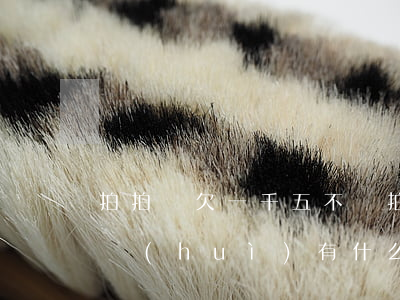 拍拍貸欠一千五不還(拍拍貸欠錢一千多不還會(huì)有什么后果)