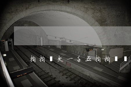 拍拍貸欠一千五(拍拍貸貸款5000還多少)