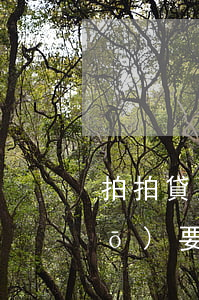 拍拍貸欠一千八(欠拍拍貸一千多,說(shuō)要上門(mén)是真的嗎?)