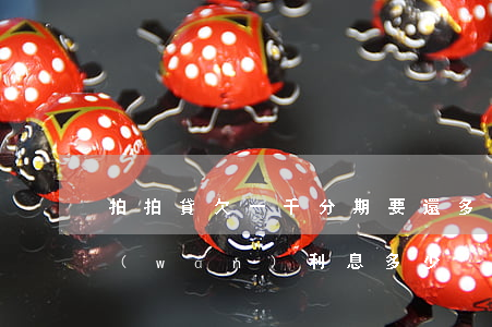 拍拍貸欠一千分期要還多少(拍拍貸借款一萬(wàn)利息多少)
