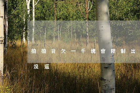 拍拍貸欠一千塊會限制出行嗎(拍拍貸一千多沒還)