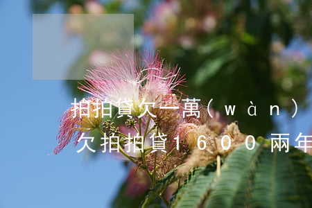 拍拍貸欠一萬(wàn)多法院起訴通知函(欠拍拍貸1600 兩年沒(méi)還今天接到法院函)