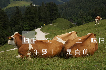 拍拍貸欠一萬會上門嘛(拍拍貸欠了一萬多說下午要上門是真的嗎?)