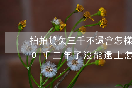 拍拍貸欠三千不還會怎樣(欠款拍拍貸2000千三年了沒能還上怎么辦)