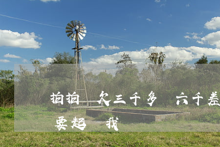 拍拍貸欠三千多還六千(差拍拍貸三千三年了要起訴我)