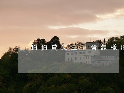 拍拍貸欠三千會怎樣(拍拍貸借了三千多沒還)