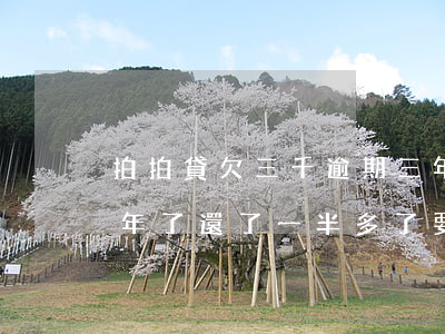 拍拍貸欠三千逾期三年還多少(拍拍貸逾期三年了,還了一半多了,要起訴我是嗎)