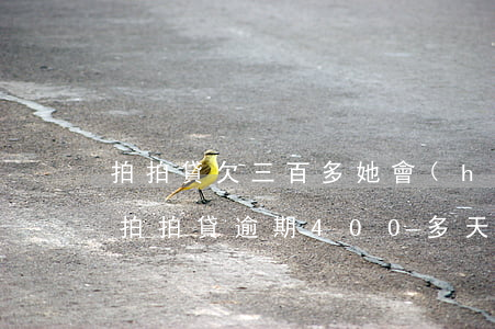 拍拍貸欠三百多她會(huì)上門外訪嗎(拍拍貸逾期400多天了說(shuō)要到家里走訪是不是真的)