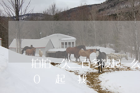 拍拍貸欠三百多被起訴么(拍拍貸借了3000會起訴我嗎)