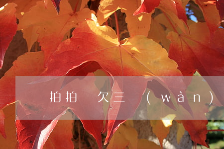 拍拍貸欠三萬(wàn)(拍拍貸三千起訴)