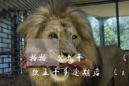 拍拍貸欠九千讓還兩萬(wàn)(拍拍貸欠款五千多,逾期后現(xiàn)在要還一萬(wàn)八千多)