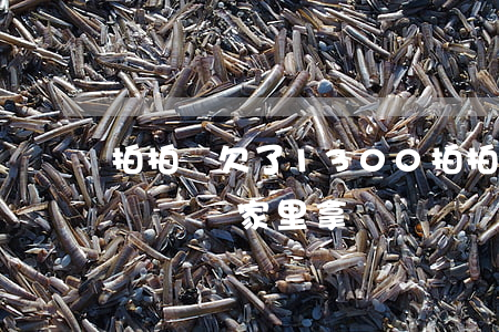 拍拍貸欠了1300(拍拍貸欠了三年又打電話說來家里拿)