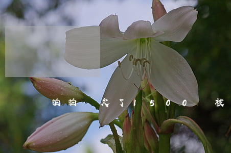 拍拍貸欠了1500會被起訴嗎-