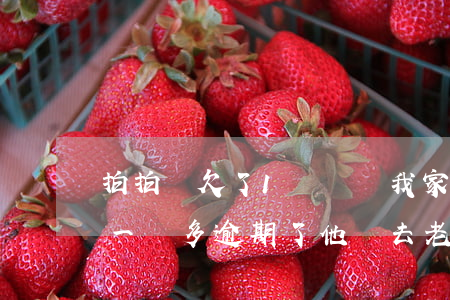 拍拍貸欠了1萬說來我家怎么辦-欠拍拍貸一萬多逾期了他會去老家催款嗎?