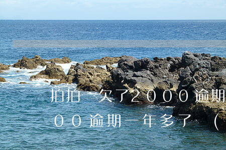 拍拍貸欠了2000逾期3年(欠拍拍貸3000逾期一年多了 會(huì)起訴我嗎)