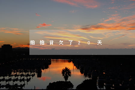 拍拍貸欠了20天