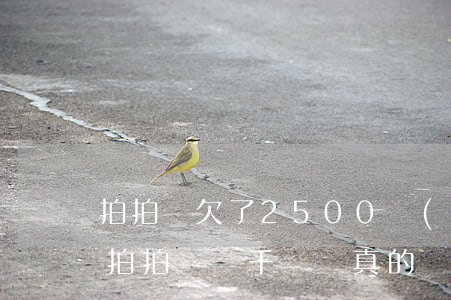拍拍貸欠了2500會(huì)上門嗎(欠拍拍貸幾千塊錢真的會(huì)上門催收嗎)