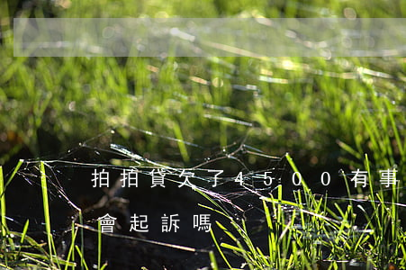 拍拍貸欠了4500有事嗎(拍拍貸4000會起訴嗎)