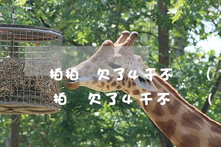 拍拍貸欠了4千不還會(huì)怎么樣(拍拍貸欠了4千不還會(huì)怎么樣)