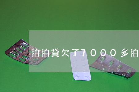 拍拍貸欠了7000多(拍拍貸一千多沒還)