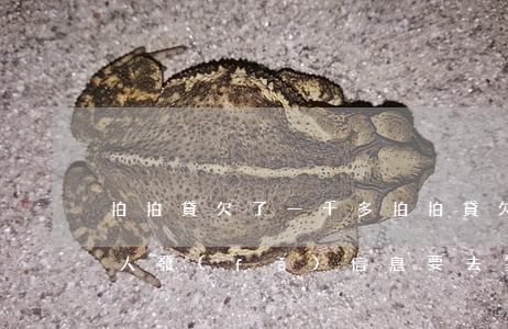 拍拍貸欠了一千多(拍拍貸欠了一千多給家里人發(fā)信息要去家里)