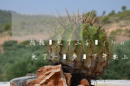 拍拍貸欠了三千會(huì)上門嗎(拍拍貸欠了一萬多說下午要上門是真的嗎?)