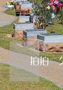 拍拍貸欠了五年了(拍拍貸一年多沒還了)