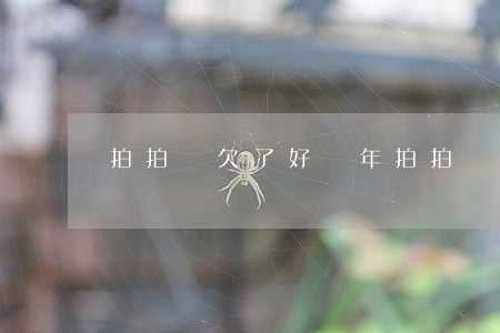拍拍貸欠了好幾年(拍拍貸幾年沒還了)