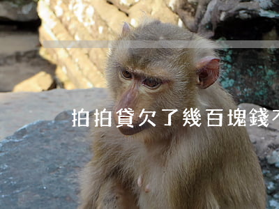 拍拍貸欠了幾百塊錢不還怎么辦-