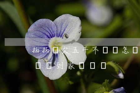 拍拍貸欠五千不還會怎樣(欠拍拍貸一千五,不還會到家騷擾嗎?)