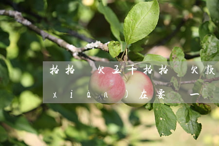 拍拍貸欠五千(拍拍貸欠款五千多,逾期后現(xiàn)在要還一萬(wàn)八千多)