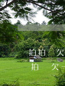 拍拍貸欠五千逾期一年會(huì)怎樣(拍拍貸欠一萬逾期一年要還16000這個(gè)合法)