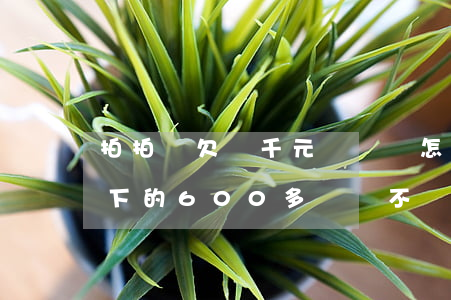 拍拍貸欠兩千元沒錢還怎么辦(拍拍貸還欠余下的600多塊錢 不還好么)